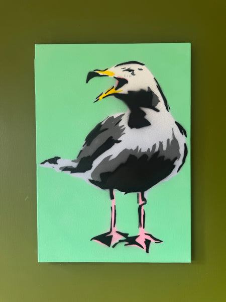 A2 Herring gull green background