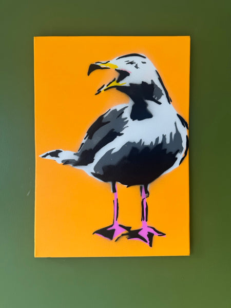 A2 Herring gull orange background