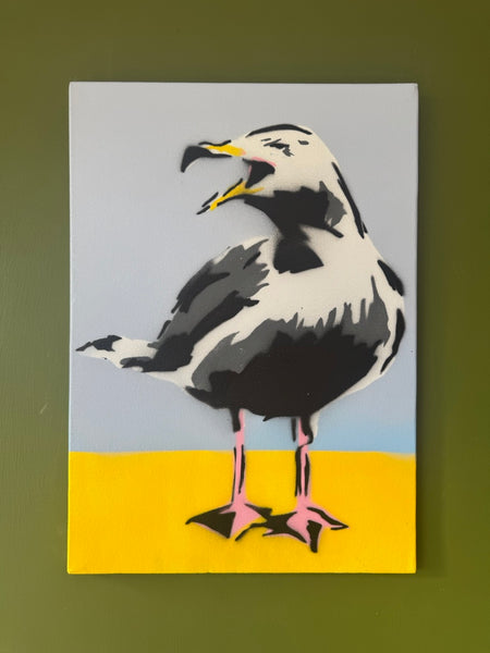A2 Herring gull