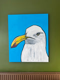 Seagull portrait