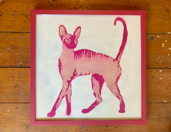 cat (Cornish Rex) FRAMED (pink)